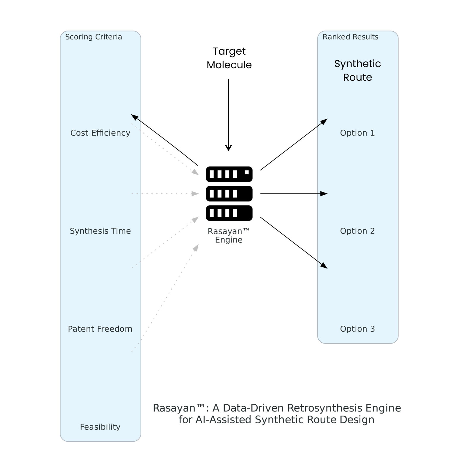 Rasayan Workflow Diagram